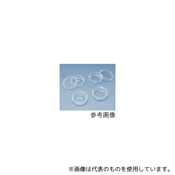 緑であること活動の領域