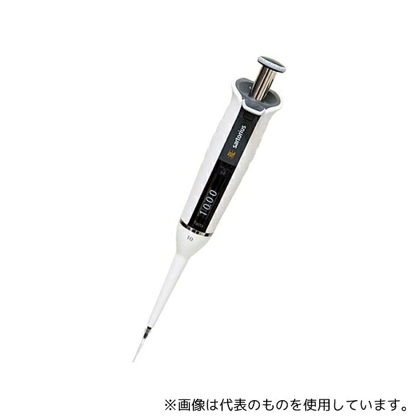 緑であること活動の領域