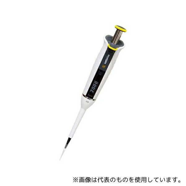 緑であること活動の領域