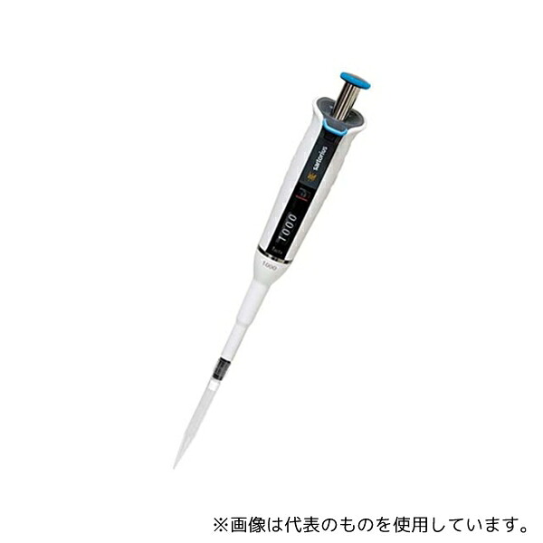 緑であること活動の領域