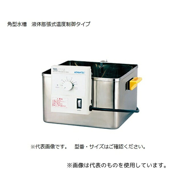 緑であること活動の領域