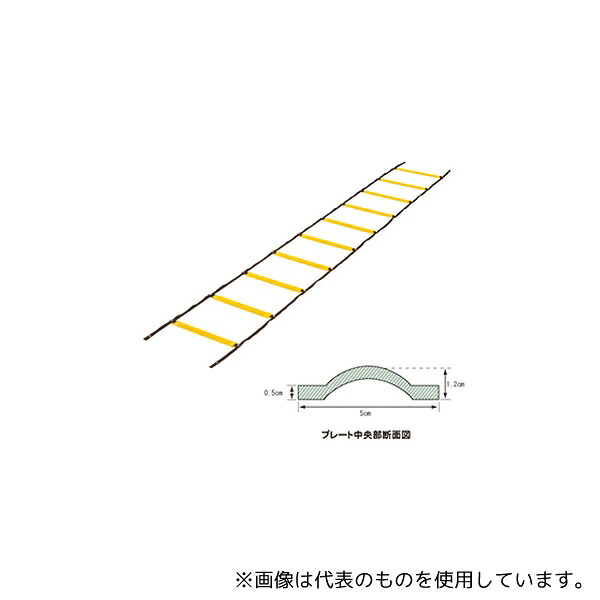 緑であること活動の領域