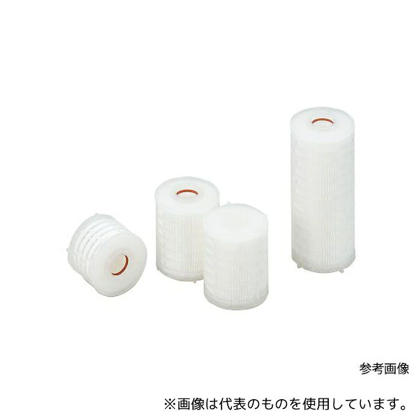 緑であること活動の領域