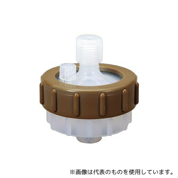 緑であること活動の領域