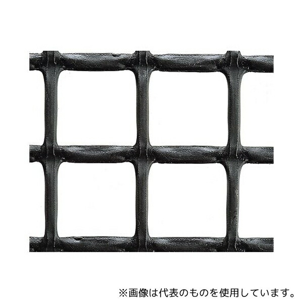 緑であること活動の領域