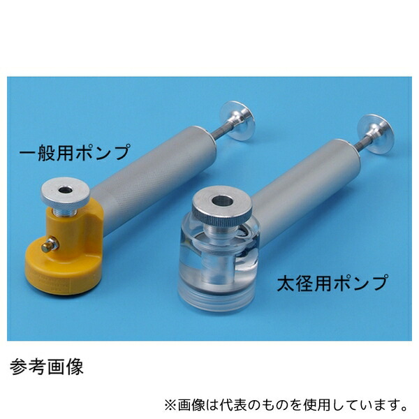 緑であること活動の領域