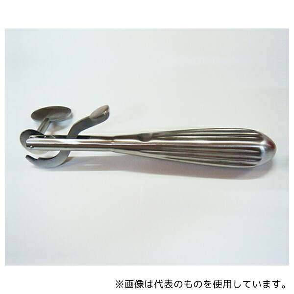 緑であること活動の領域
