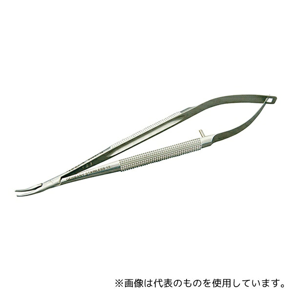 緑であること活動の領域