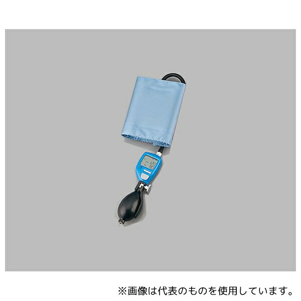 緑であること活動の領域