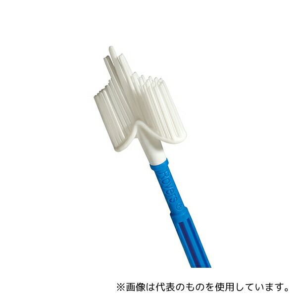 緑であること活動の領域