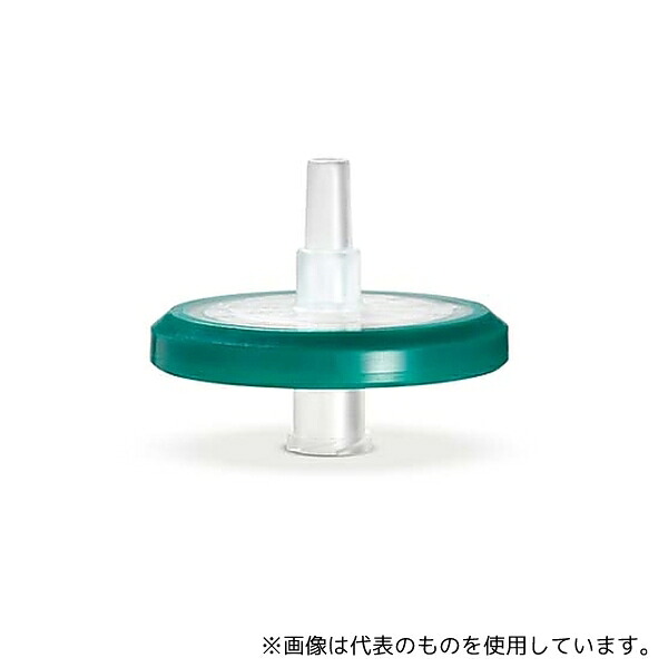 緑であること活動の領域
