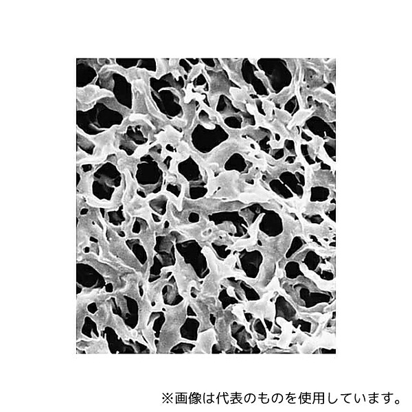 緑であること活動の領域