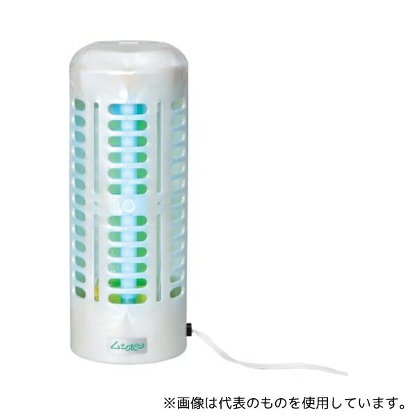 緑であること活動の領域