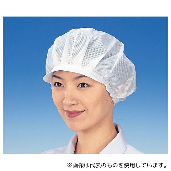 緑であること活動の領域