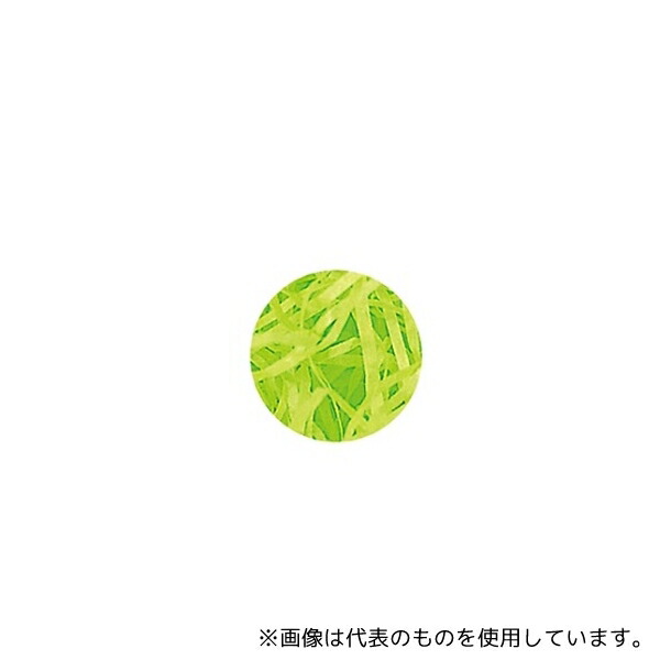 ストア・エキスプレス 61-284-6-2 フエールパッキン ライム