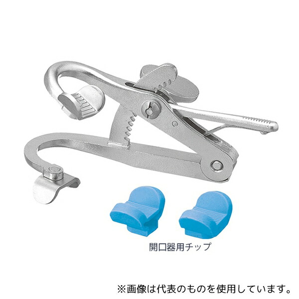 緑であること活動の領域
