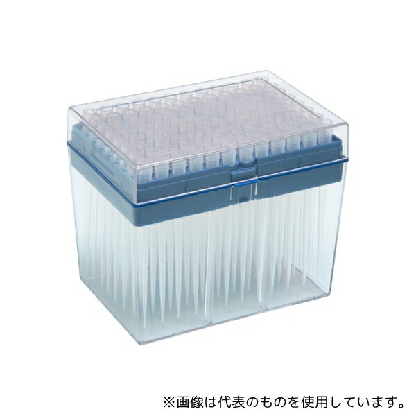 緑であること活動の領域