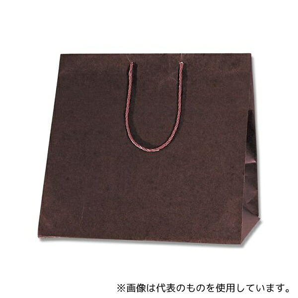 HEIKO 6441011 HEIKO 紙袋 カラーアレンジバッグ L 焦茶 10枚