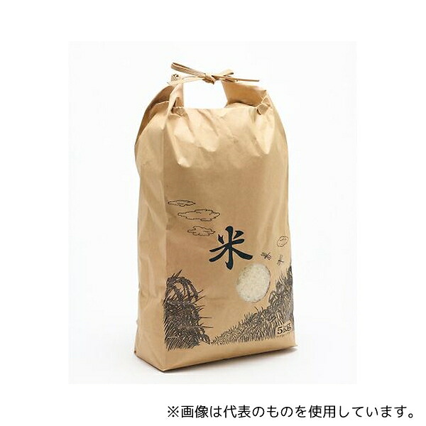 緑であること活動の領域