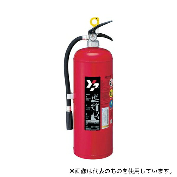 緑であること活動の領域