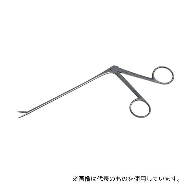緑であること活動の領域