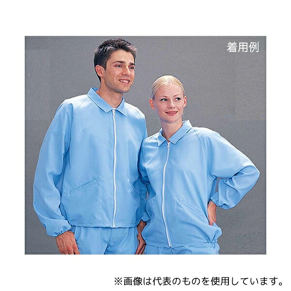 緑であること活動の領域