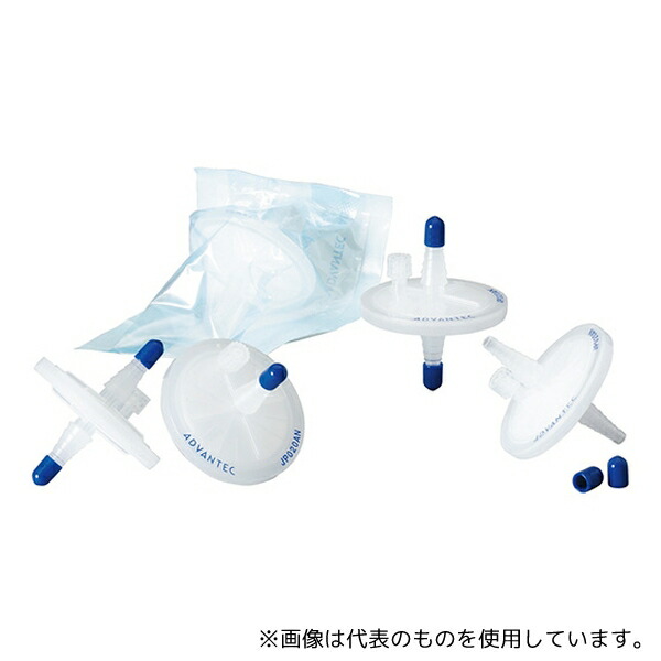 緑であること活動の領域