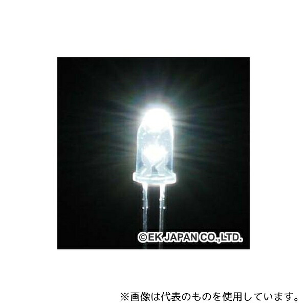 緑であること活動の領域