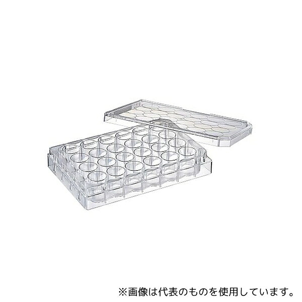 WATSON 196-24FS 24ウェル平底プレート3.2ml フタ付 個別滅菌