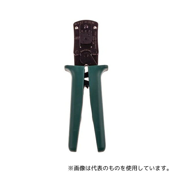 緑であること活動の領域
