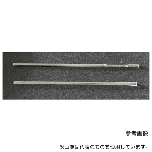 緑であること活動の領域