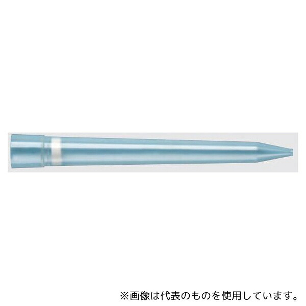 緑であること活動の領域
