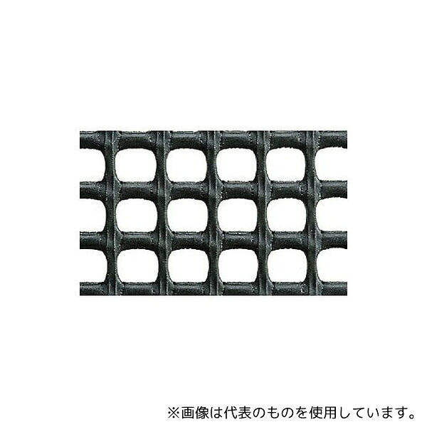 緑であること活動の領域