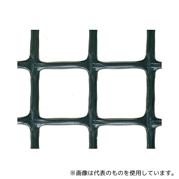 緑であること活動の領域