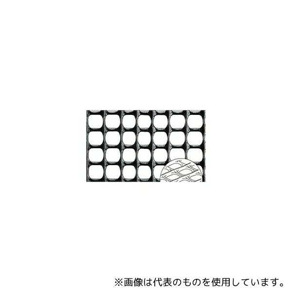 緑であること活動の領域