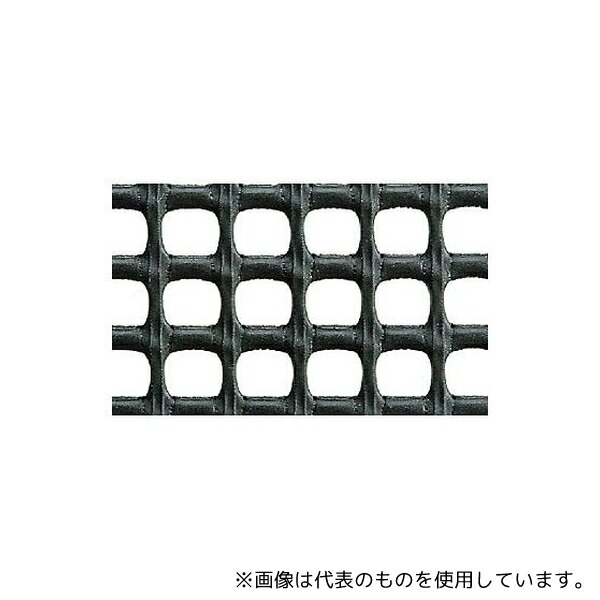 緑であること活動の領域