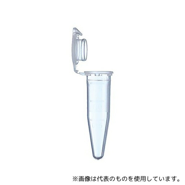 緑であること活動の領域