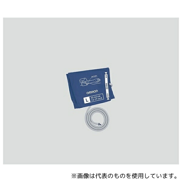 緑であること活動の領域