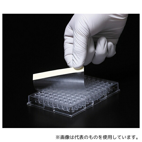 WATSON 547-SBS-PET プレートシールT PET製粘着シール 1箱(100枚入)
