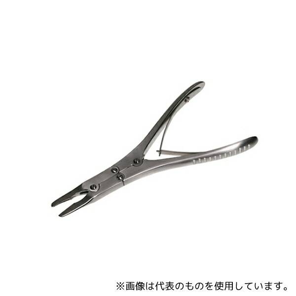 緑であること活動の領域