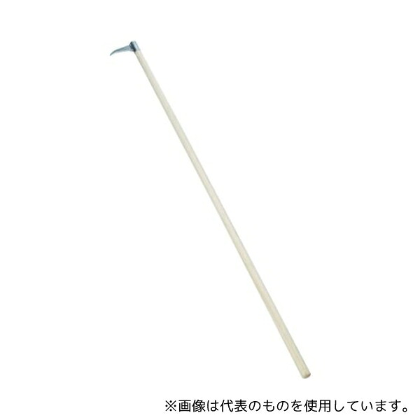 緑であること活動の領域