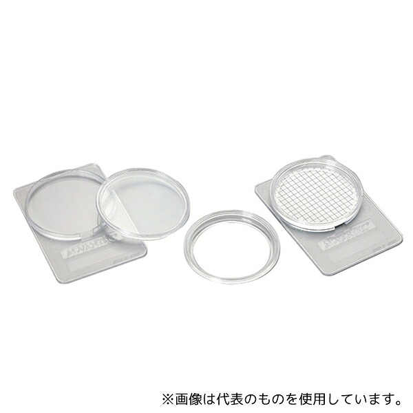 緑であること活動の領域