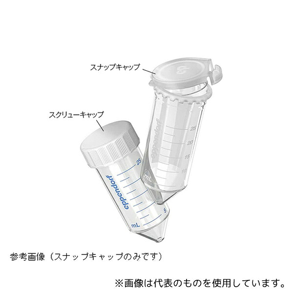 緑であること活動の領域