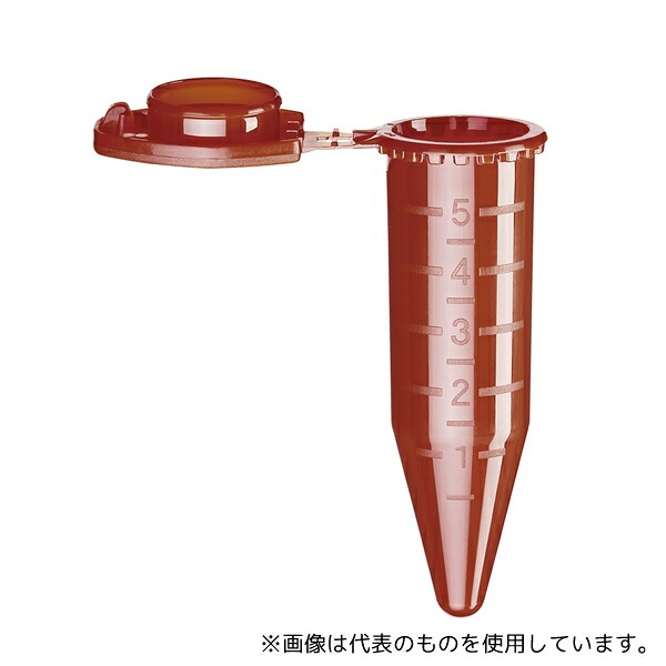 緑であること活動の領域