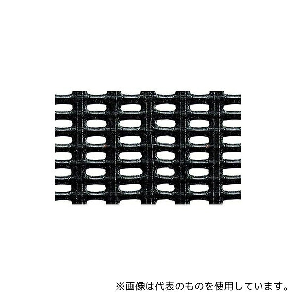 緑であること活動の領域