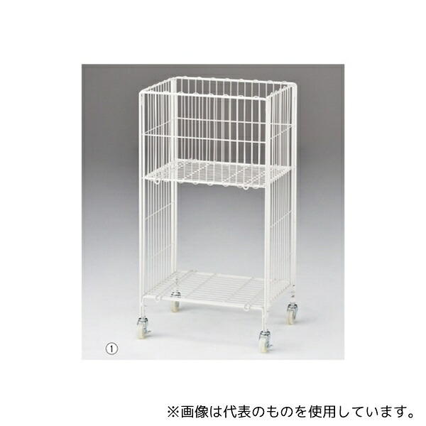 緑であること活動の領域