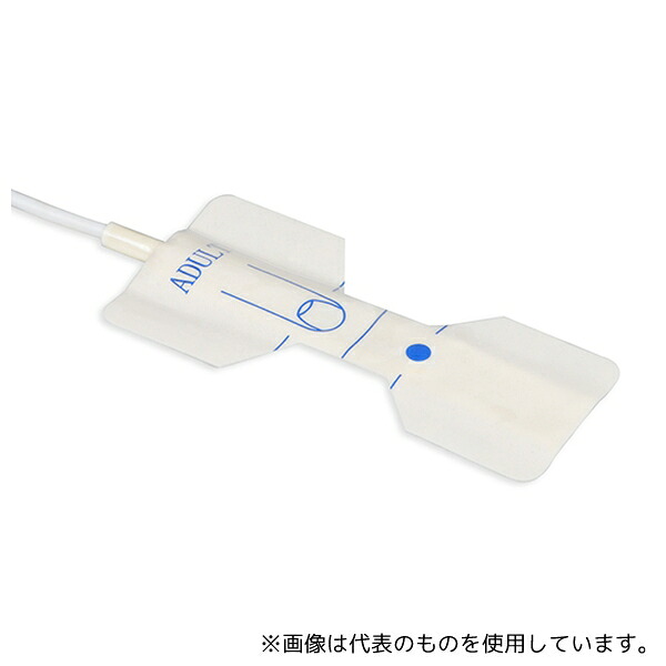 緑であること活動の領域