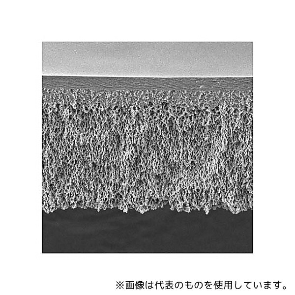 緑であること活動の領域