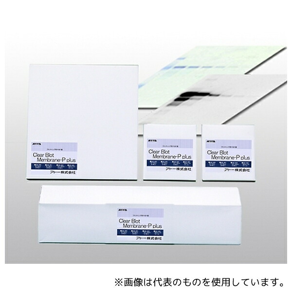 アトー 2322451/WSE-4051 ブロッティング用PVDF膜「クリアブロット・P+膜」 1箱(20枚入)