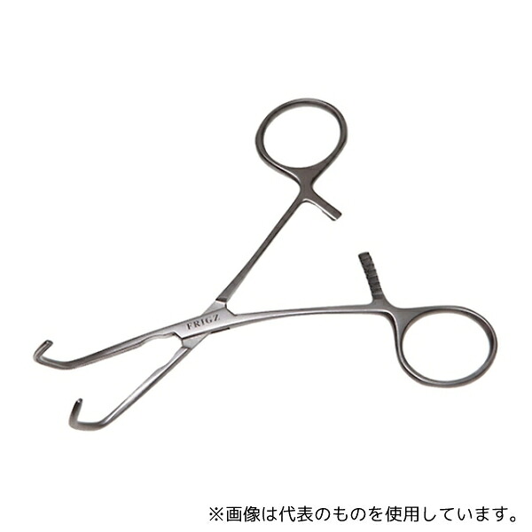緑であること活動の領域